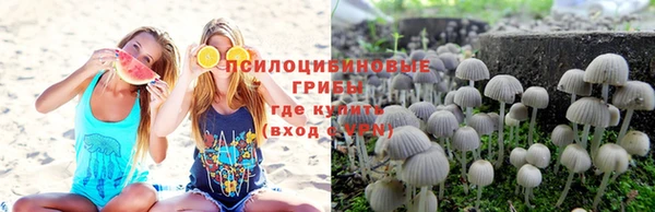 хмурый Алзамай