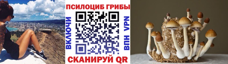 мориарти формула  Отрадная  Галлюциногенные грибы ЛСД  купить  