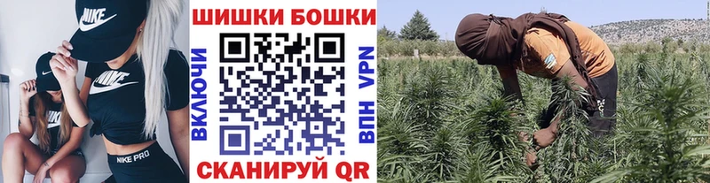 Канабис план  Отрадная 